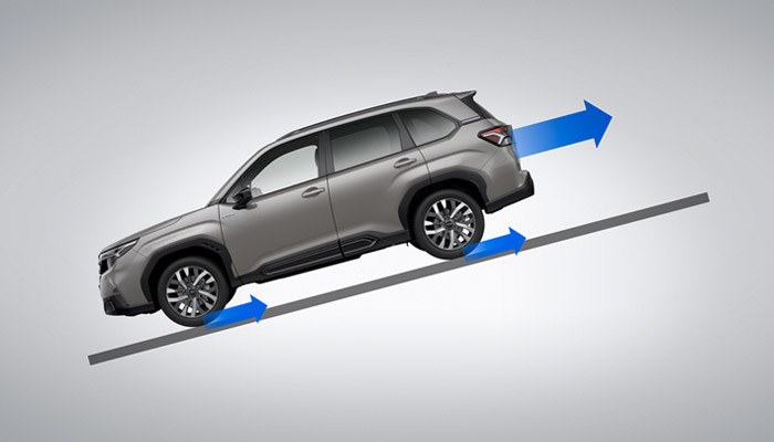 <sg-lang1>Hill Descent Control</sg-lang1><sg-lang2></sg-lang2><sg-lang3></sg-lang3>